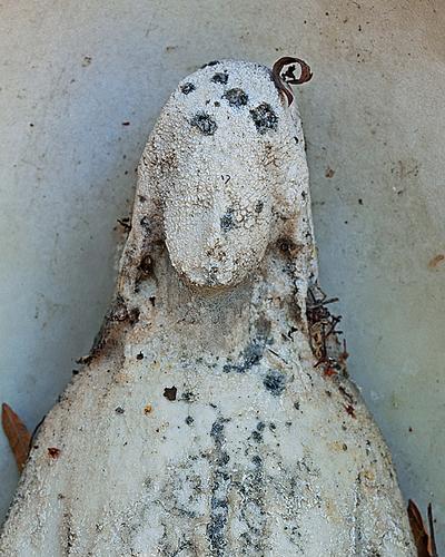 Our Lady of Time